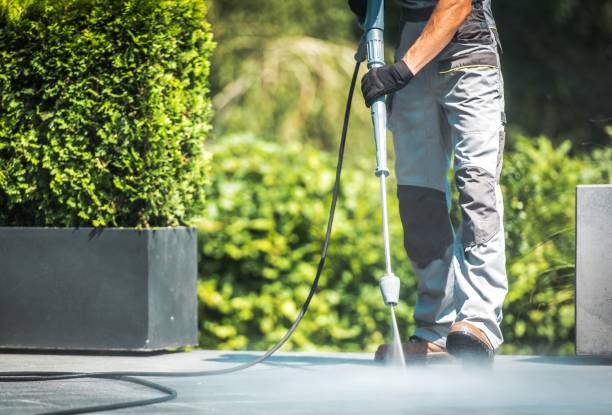Best Roof Washing  in Cadillac, MI