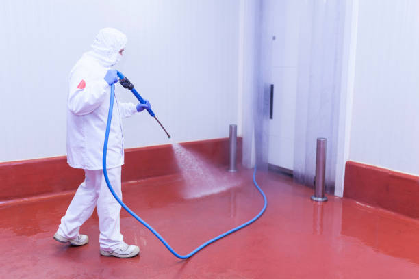 Best Sign and Awning Cleaning  in Cadillac, MI