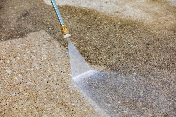 Best Dumpster Area Cleaning  in Cadillac, MI