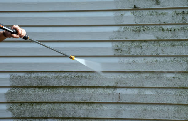 Boat and Dock Cleaning in Cadillac, MI