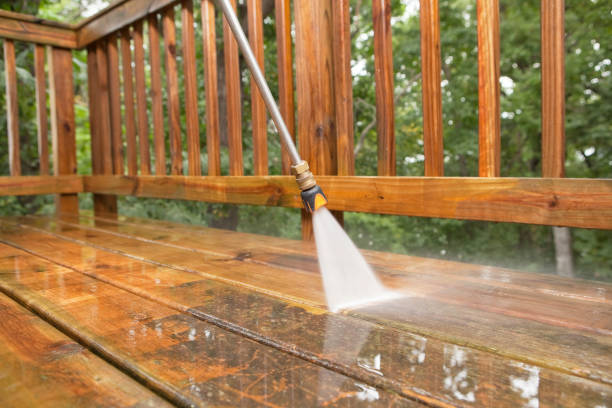 Best House Exterior Washing  in Cadillac, MI